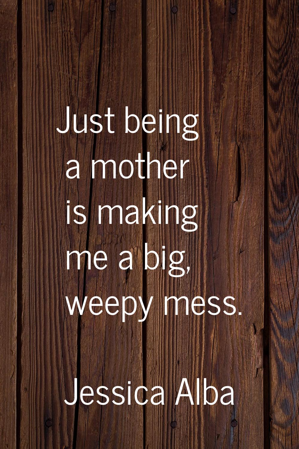 Just being a mother is making me a big, weepy mess.