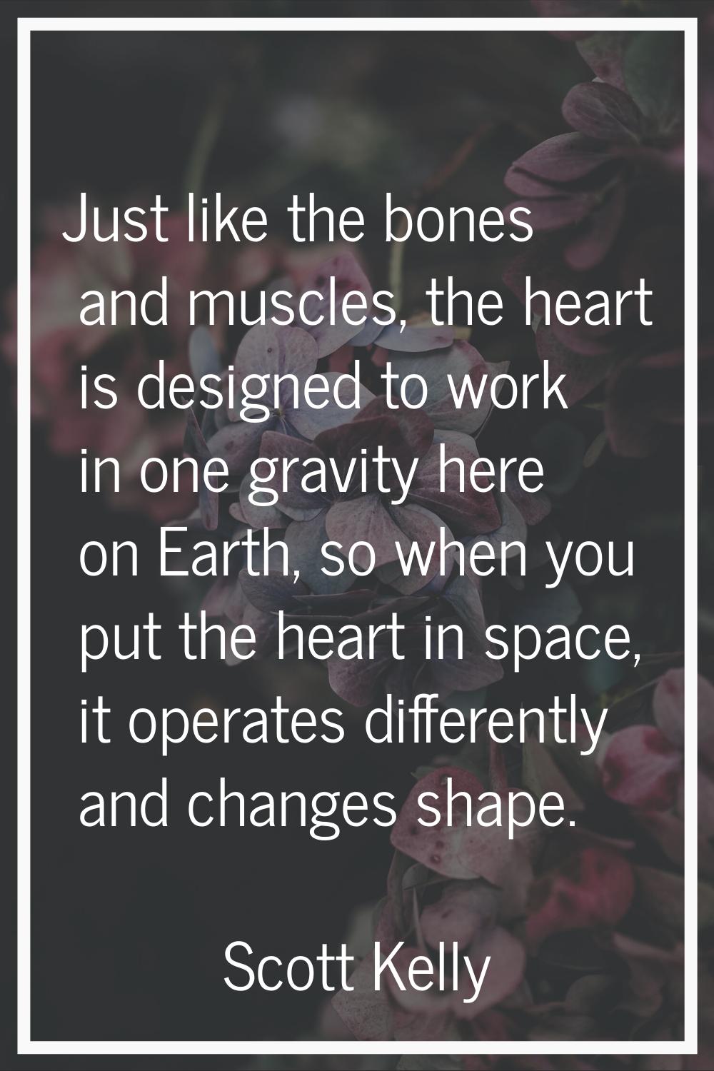 Just like the bones and muscles, the heart is designed to work in one gravity here on Earth, so whe