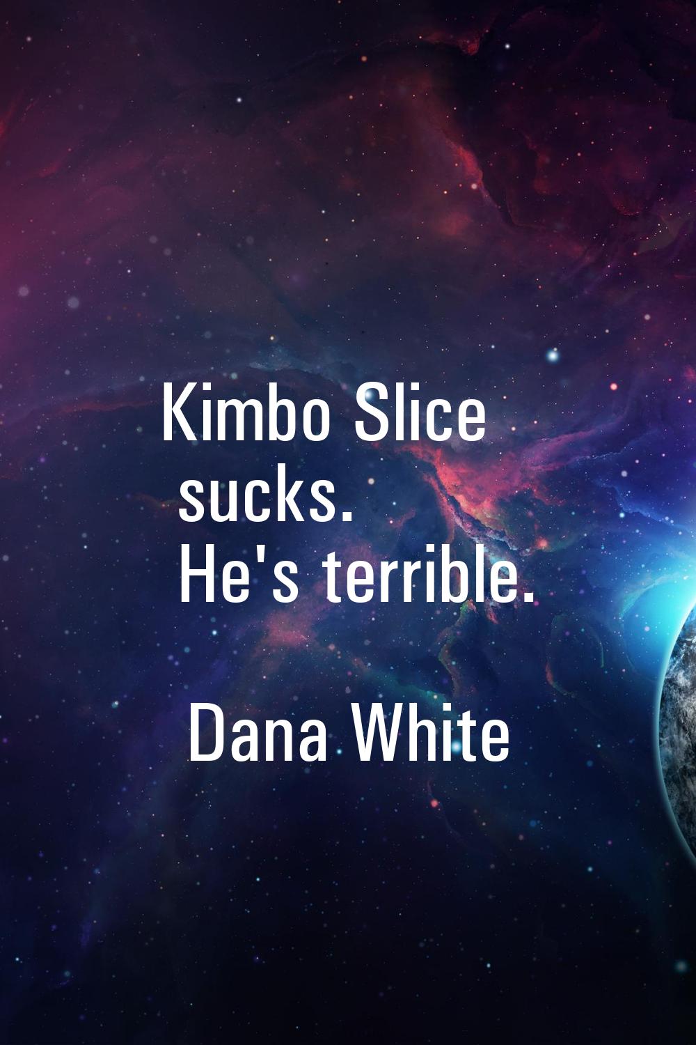 Kimbo Slice sucks. He's terrible.