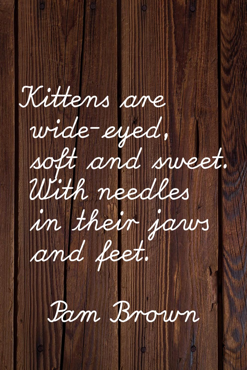 Kittens are wide-eyed, soft and sweet. With needles in their jaws and feet.