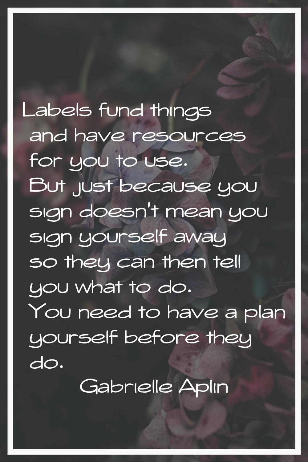 Labels fund things and have resources for you to use. But just because you sign doesn't mean you si