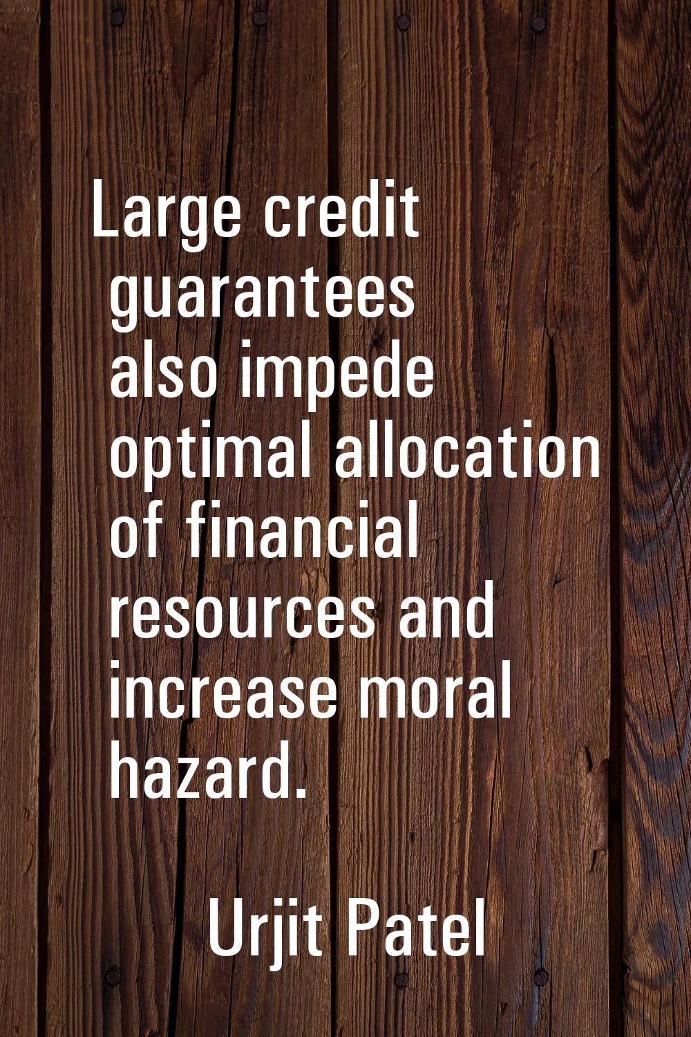 Large credit guarantees also impede optimal allocation of financial resources and increase moral ha