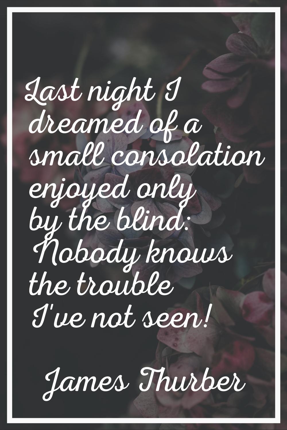 Last night I dreamed of a small consolation enjoyed only by the blind: Nobody knows the trouble I'v