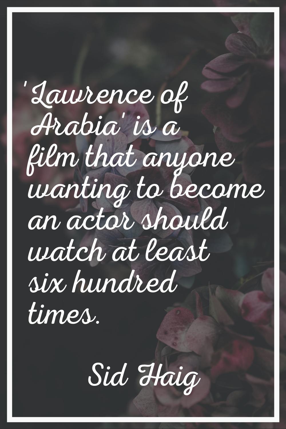 'Lawrence of Arabia' is a film that anyone wanting to become an actor should watch at least six hun