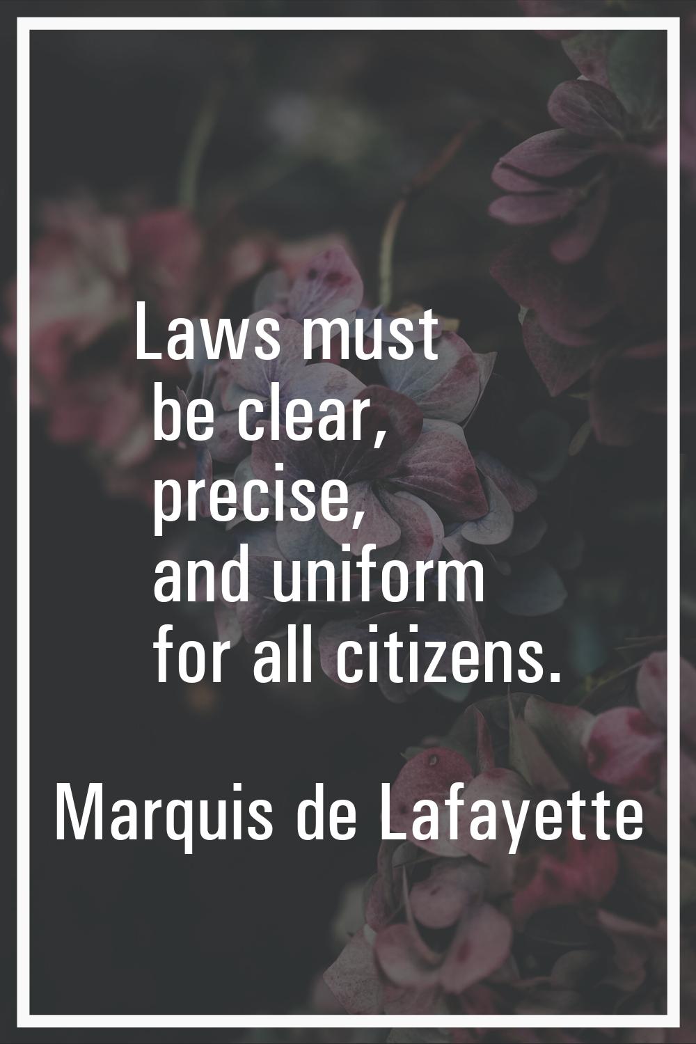 Laws must be clear, precise, and uniform for all citizens.