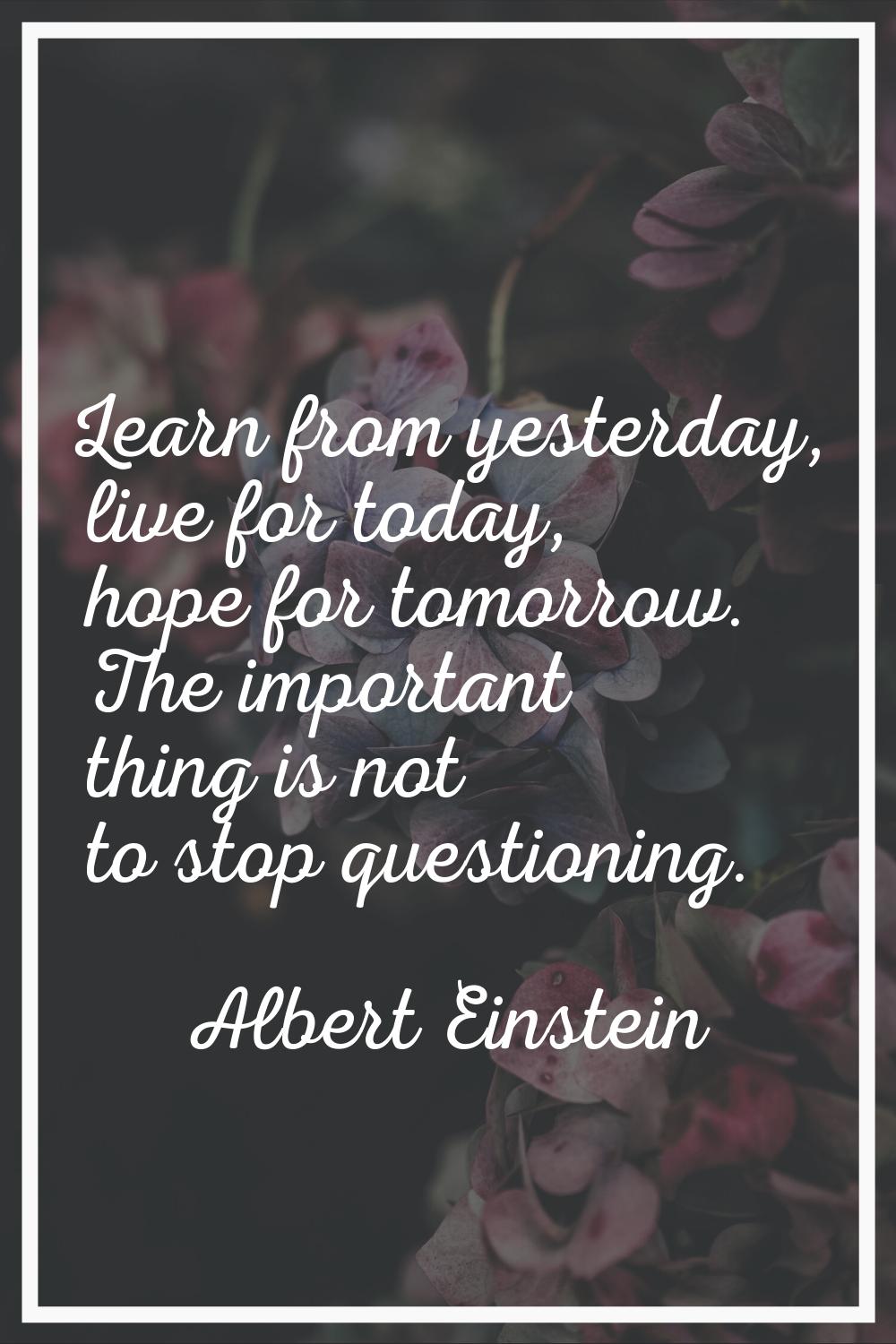 Learn from yesterday, live for today, hope for tomorrow. The important thing is not to stop questio