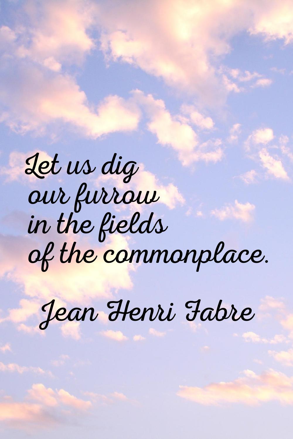 Let us dig our furrow in the fields of the commonplace.