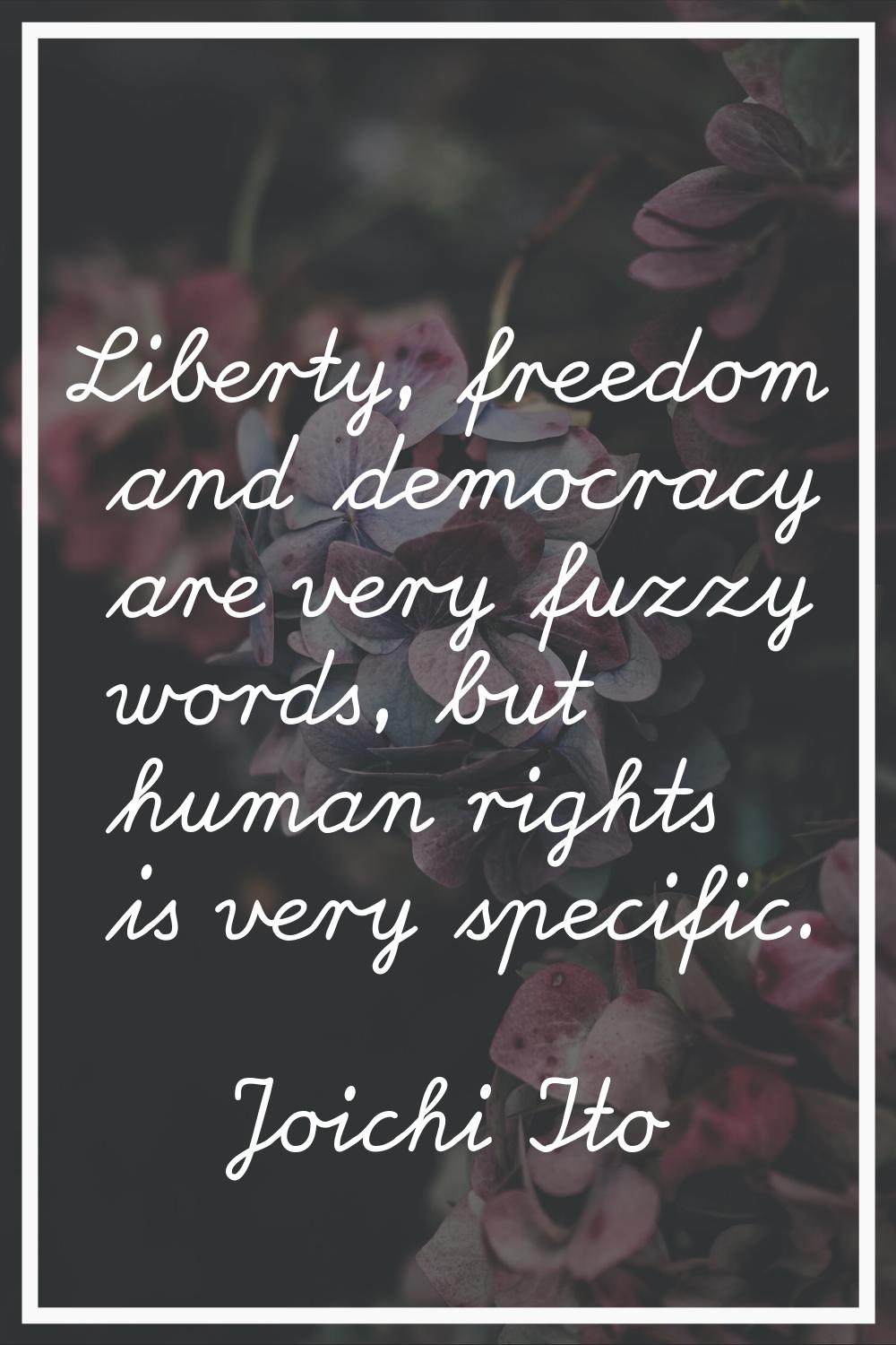 Liberty, freedom and democracy are very fuzzy words, but human rights is very specific.