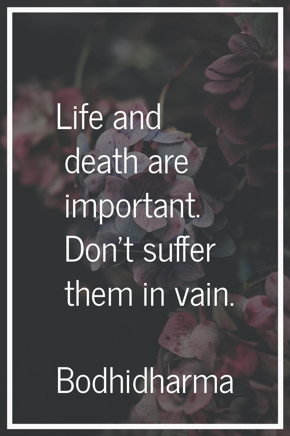 Life and death are important. Don't suffer them in vain.