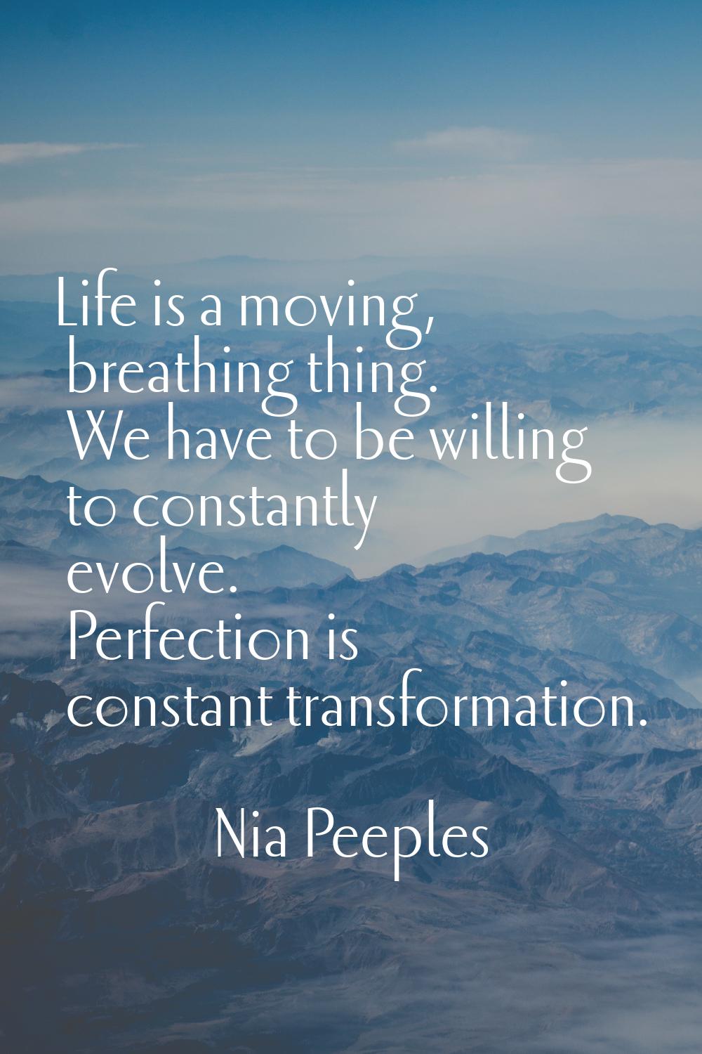 Life is a moving, breathing thing. We have to be willing to constantly evolve. Perfection is consta