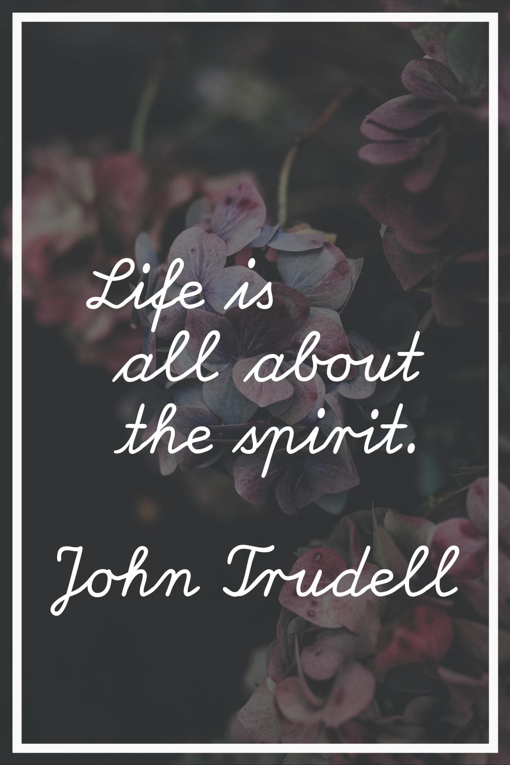 Life is all about the spirit.