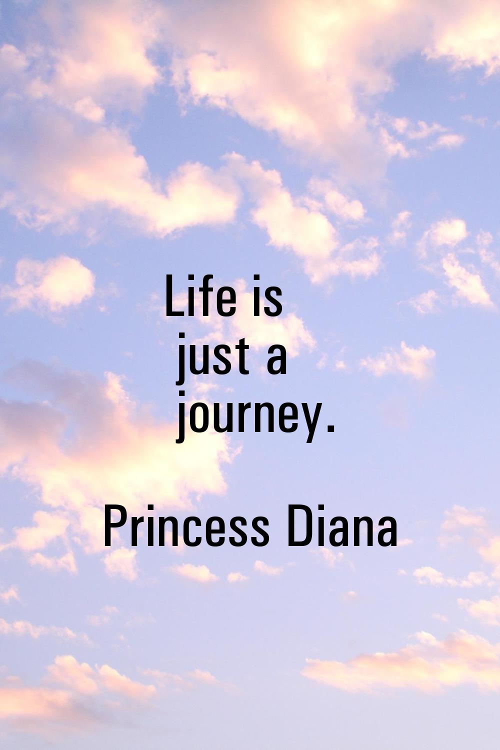 Life is just a journey.