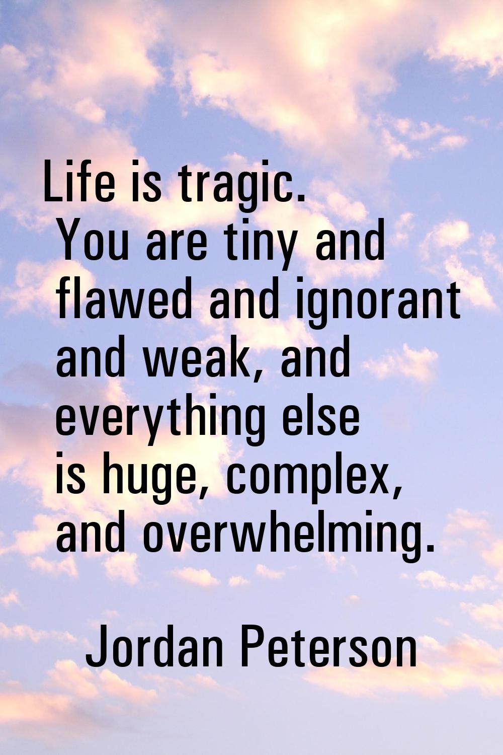 Life is tragic. You are tiny and flawed and ignorant and weak, and everything else is huge, complex