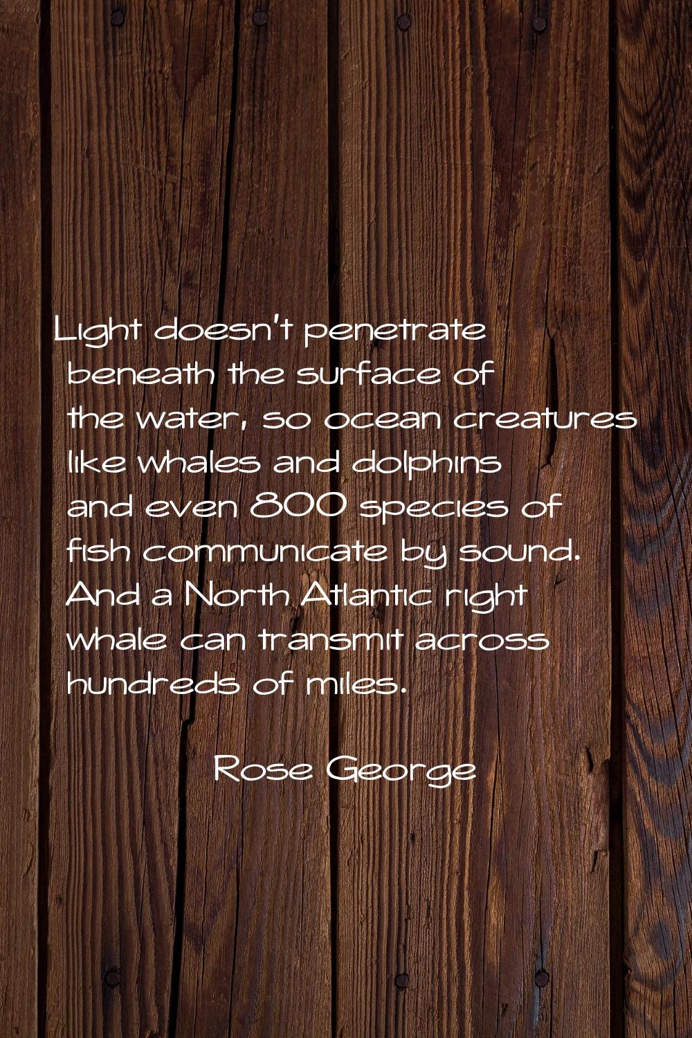 Light doesn't penetrate beneath the surface of the water, so ocean creatures like whales and dolphi