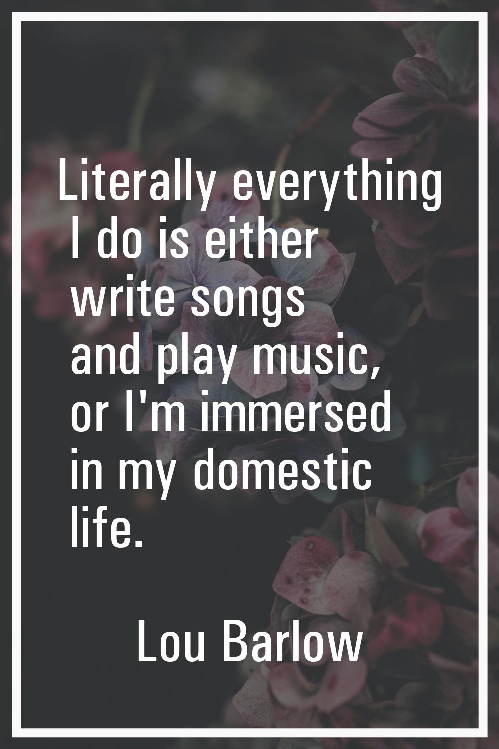 Literally everything I do is either write songs and play music, or I'm immersed in my domestic life