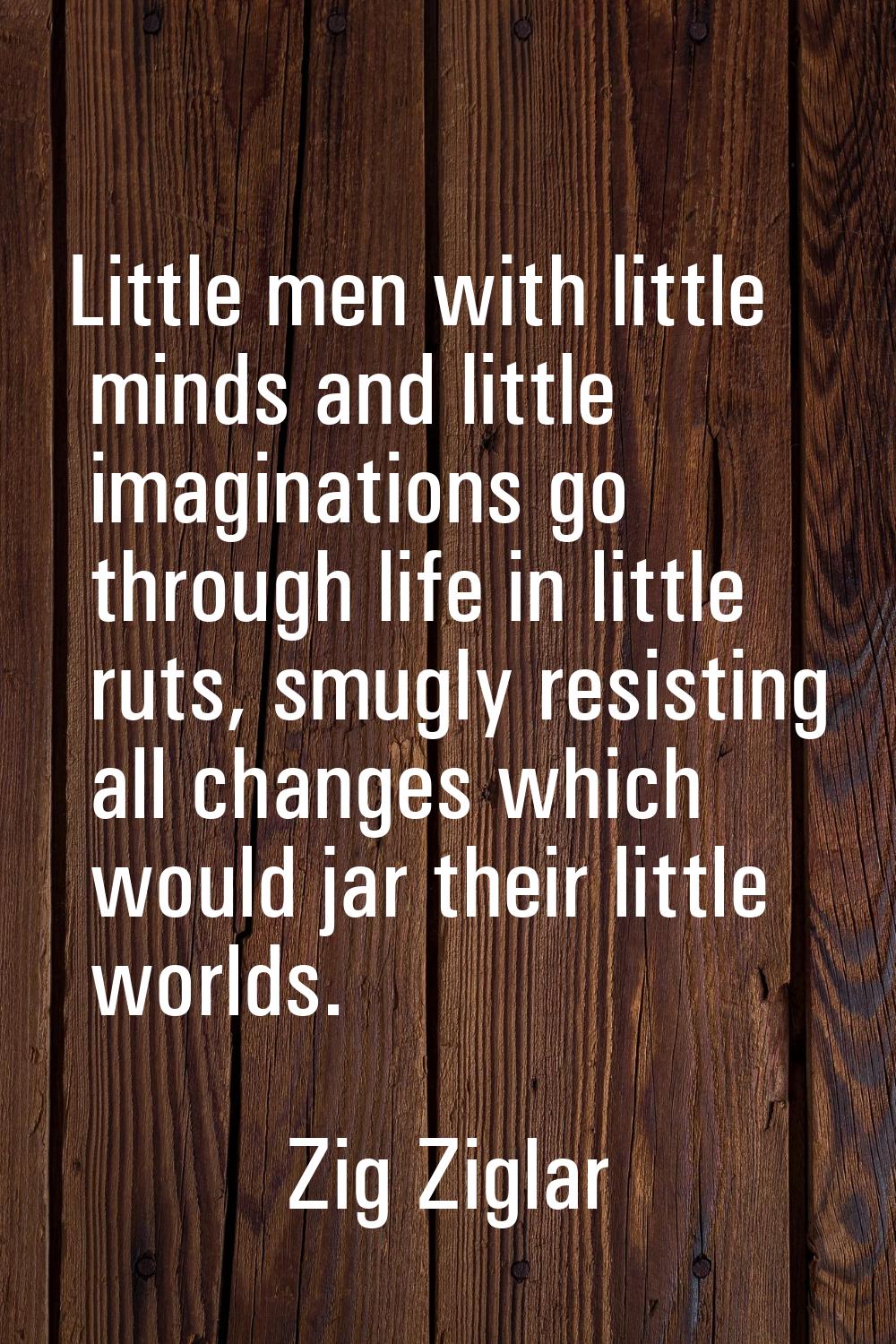 Little men with little minds and little imaginations go through life in little ruts, smugly resisti