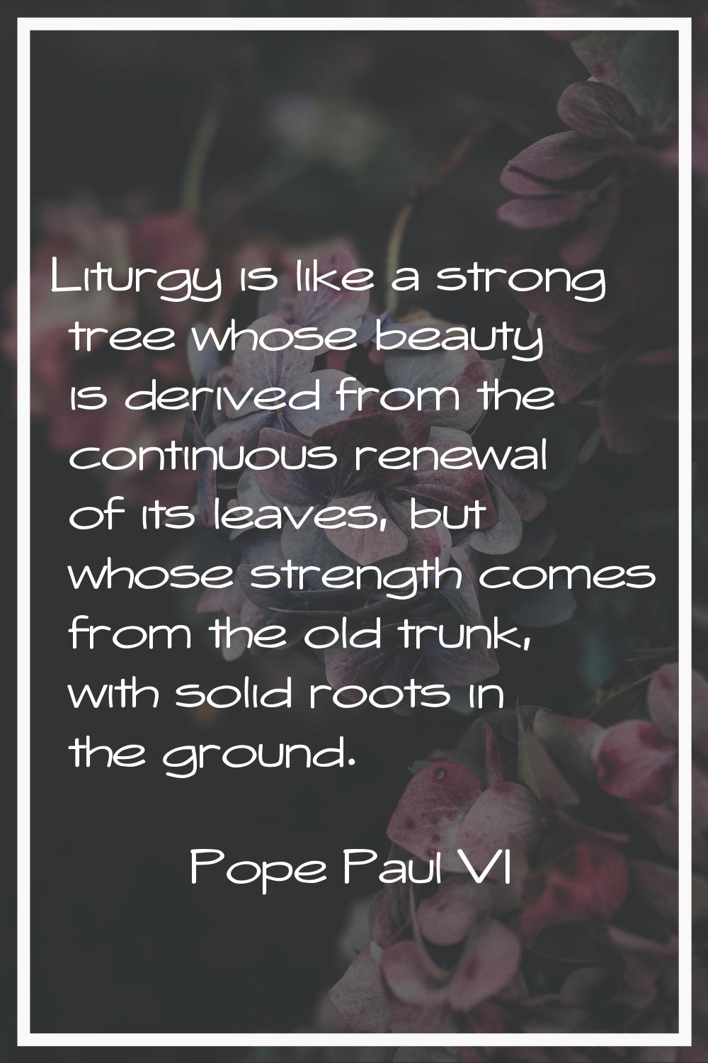 Liturgy is like a strong tree whose beauty is derived from the continuous renewal of its leaves, bu