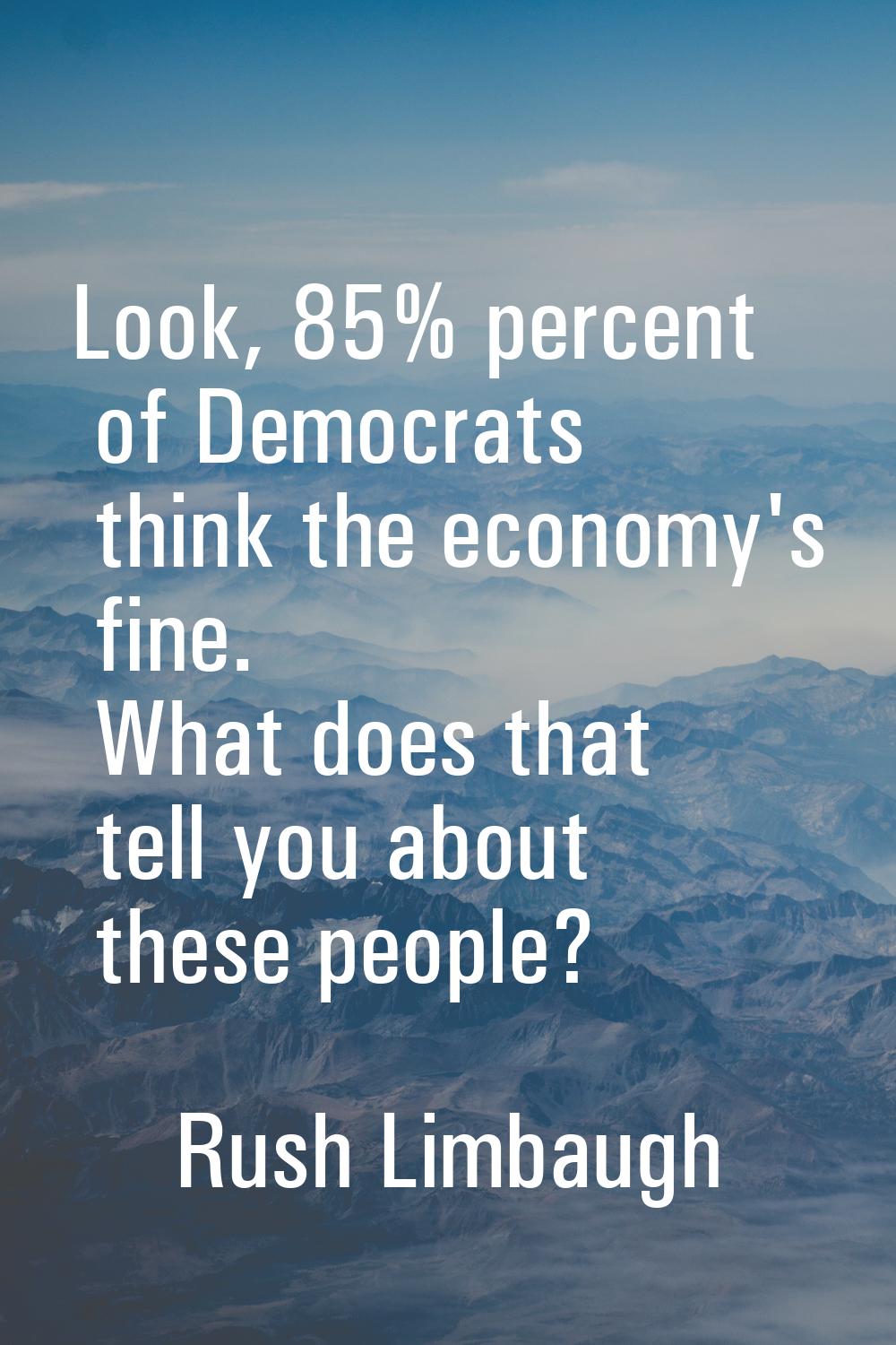 Look, 85% percent of Democrats think the economy's fine. What does that tell you about these people