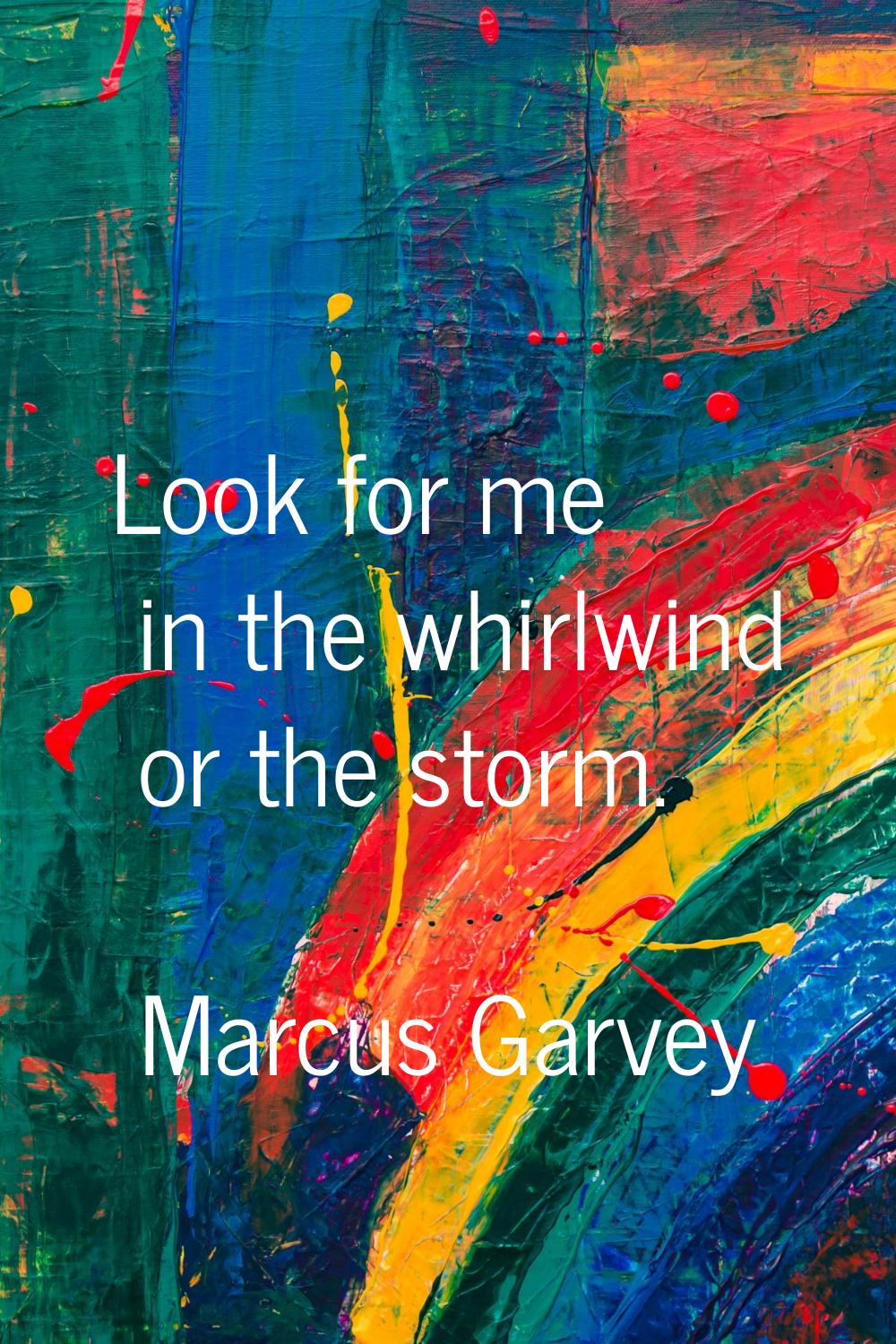 Look for me in the whirlwind or the storm.