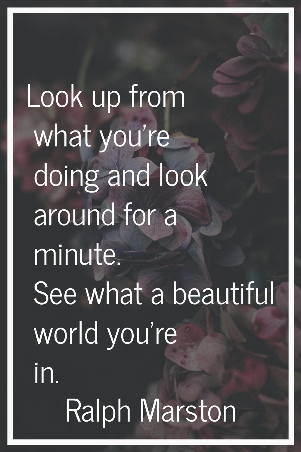 Look up from what you're doing and look around for a minute. See what a beautiful world you're in.