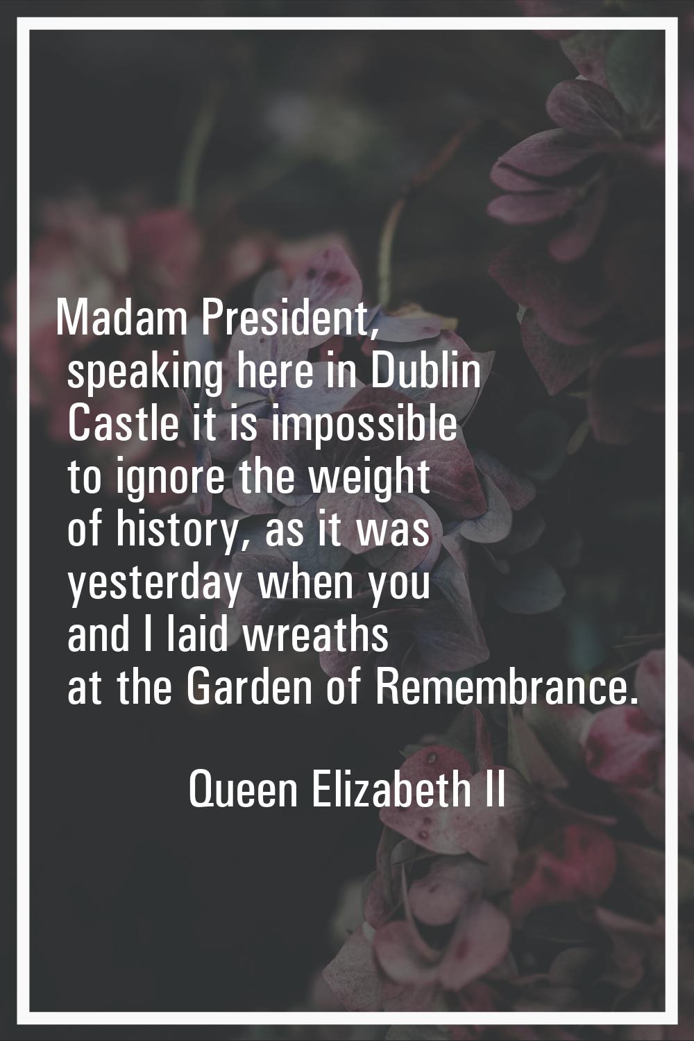 Madam President, speaking here in Dublin Castle it is impossible to ignore the weight of history, a
