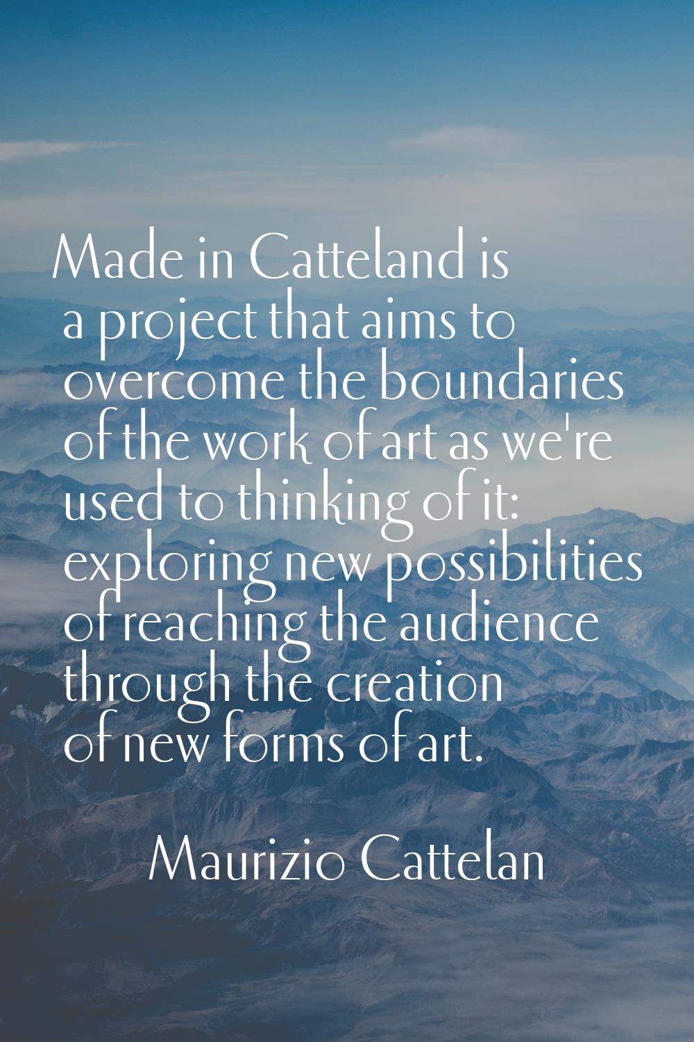 Made in Catteland is a project that aims to overcome the boundaries of the work of art as we're use