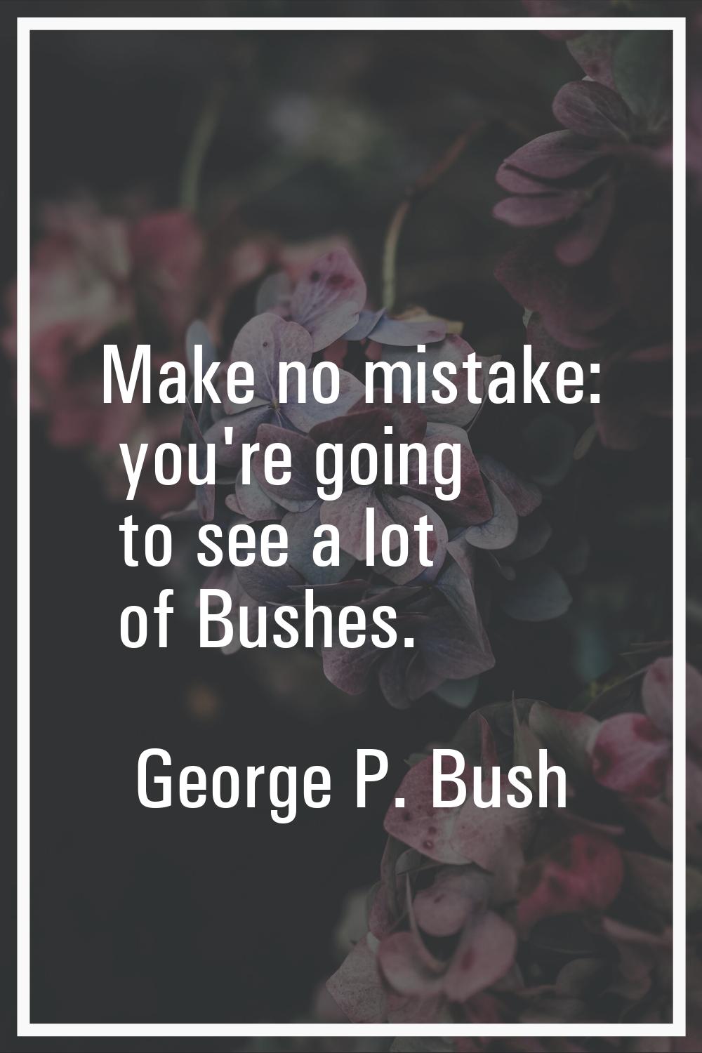 Make no mistake: you're going to see a lot of Bushes.