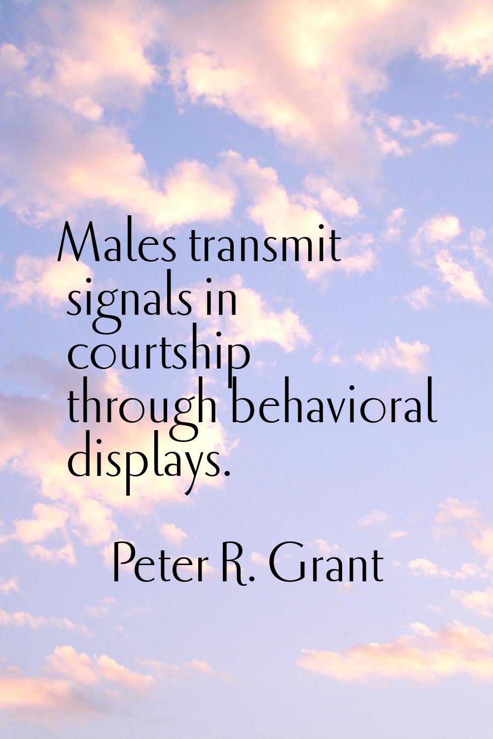 Males transmit signals in courtship through behavioral displays.