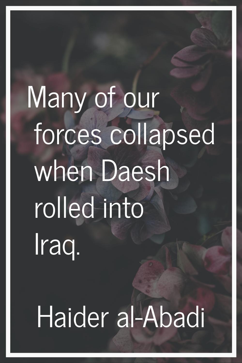 Many of our forces collapsed when Daesh rolled into Iraq.