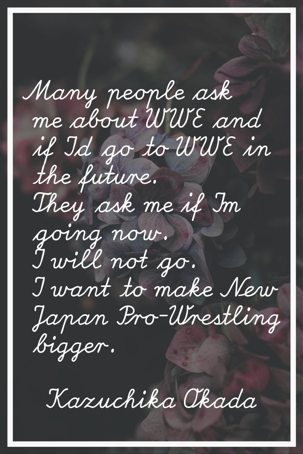 Many people ask me about WWE and if I'd go to WWE in the future. They ask me if I'm going now. I wi