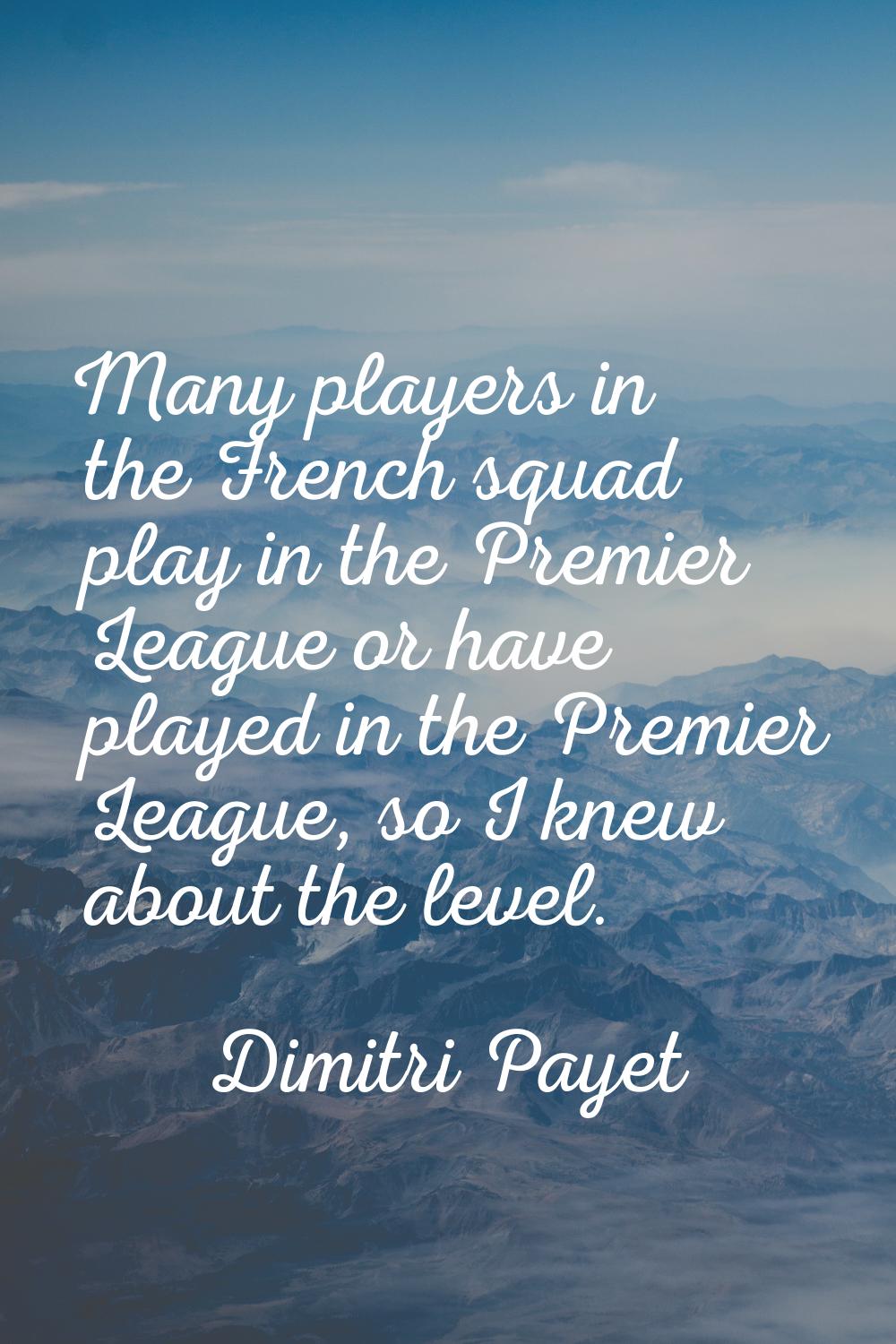 Many players in the French squad play in the Premier League or have played in the Premier League, s