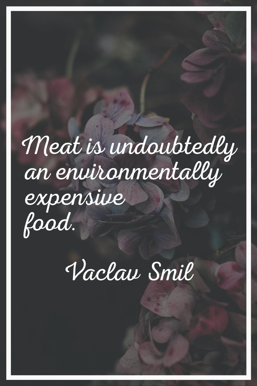 Meat is undoubtedly an environmentally expensive food.