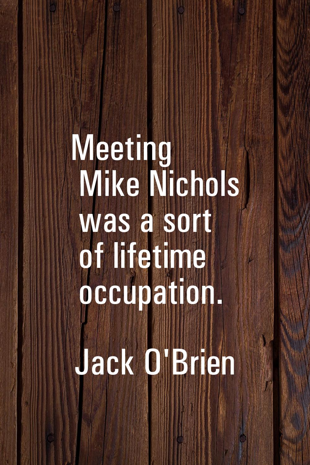 Meeting Mike Nichols was a sort of lifetime occupation.