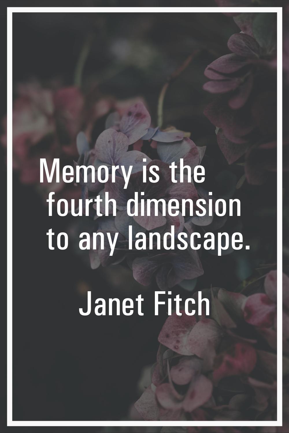 Memory is the fourth dimension to any landscape.