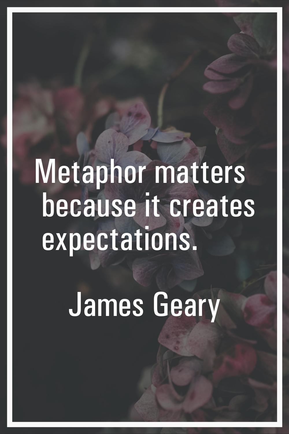 Metaphor matters because it creates expectations.