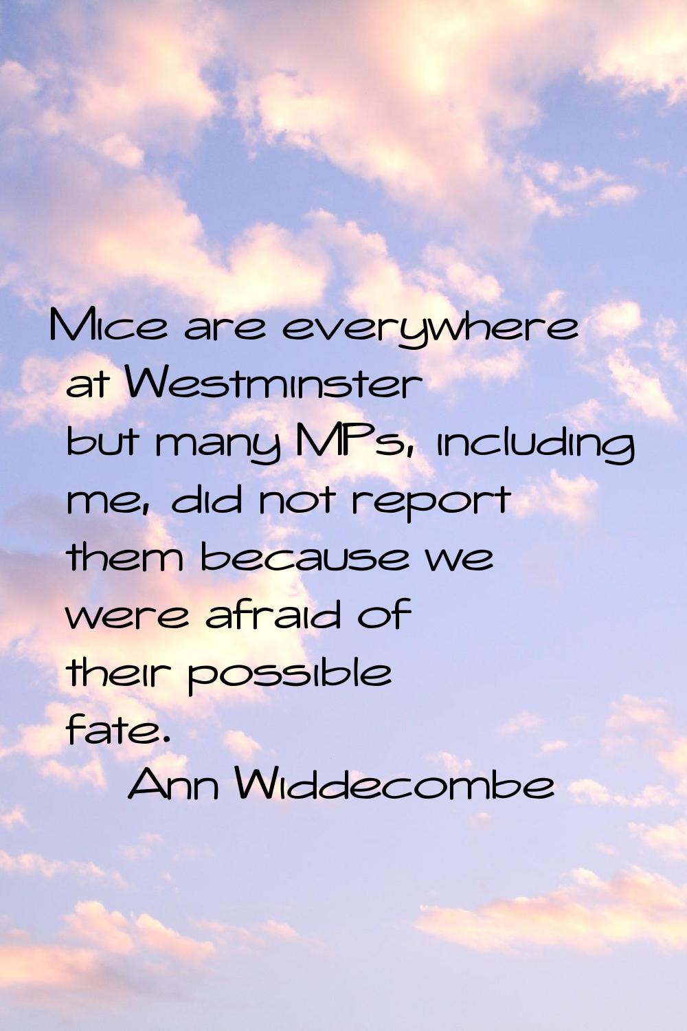 Mice are everywhere at Westminster but many MPs, including me, did not report them because we were 