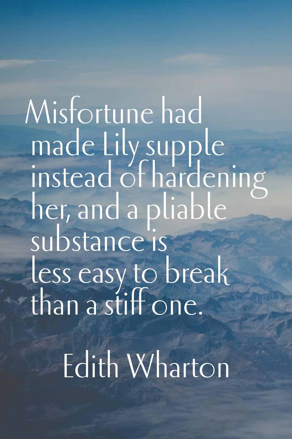 Misfortune had made Lily supple instead of hardening her, and a pliable substance is less easy to b