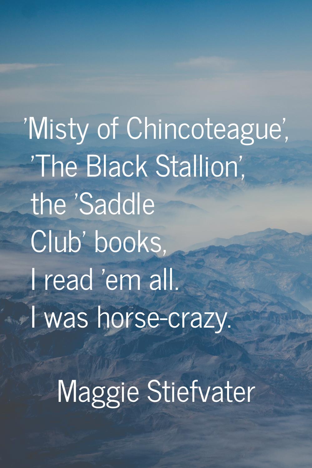 'Misty of Chincoteague', 'The Black Stallion', the 'Saddle Club' books, I read 'em all. I was horse