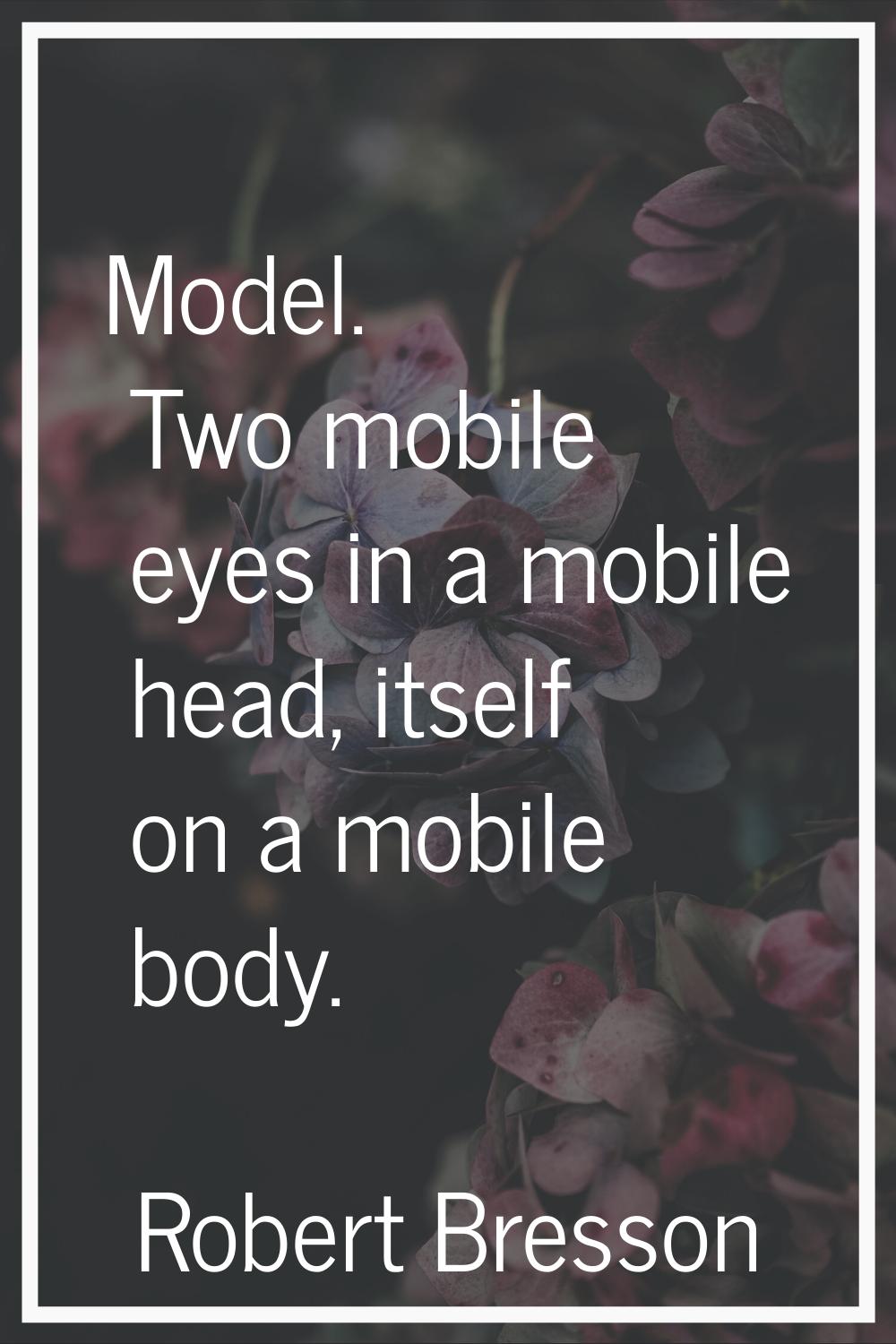 Model. Two mobile eyes in a mobile head, itself on a mobile body.