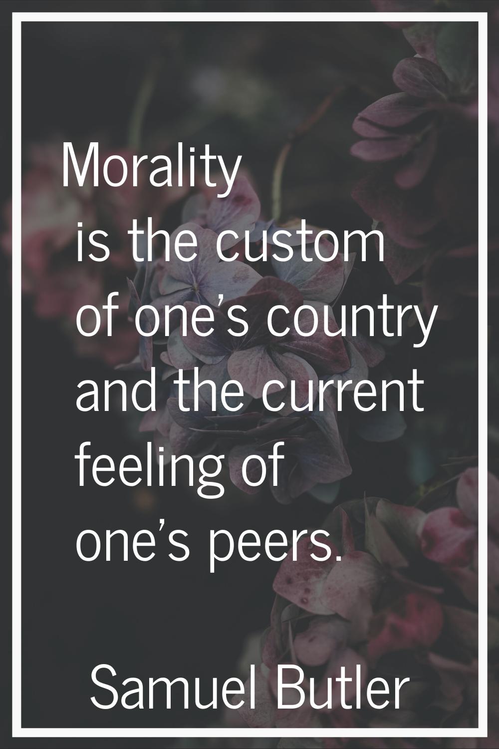 Morality is the custom of one's country and the current feeling of one's peers.