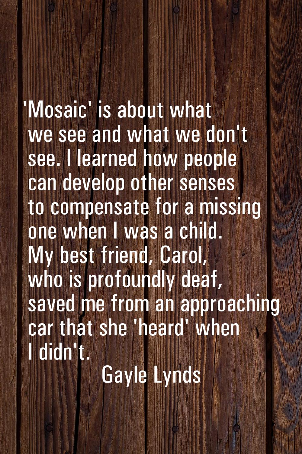 'Mosaic' is about what we see and what we don't see. I learned how people can develop other senses 