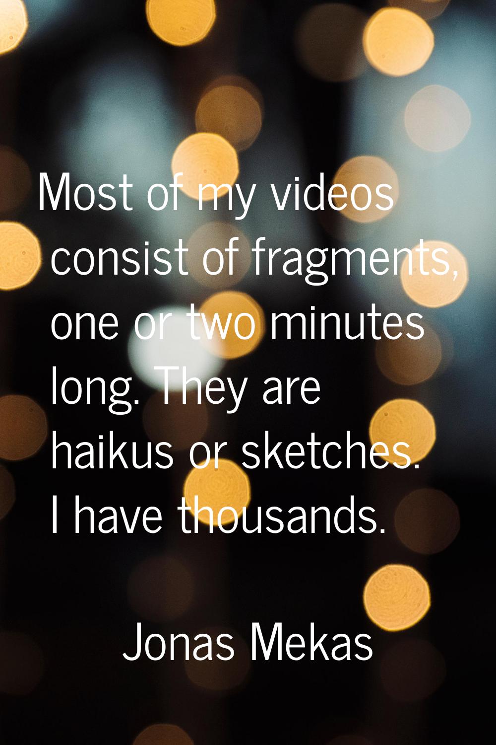Most of my videos consist of fragments, one or two minutes long. They are haikus or sketches. I hav