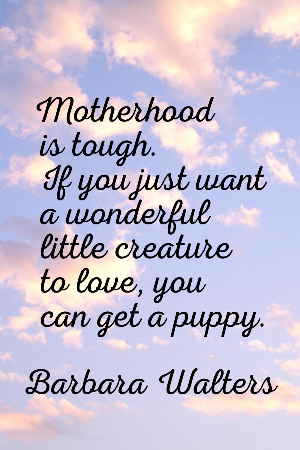 Motherhood is tough. If you just want a wonderful little creature to love, you can get a puppy.