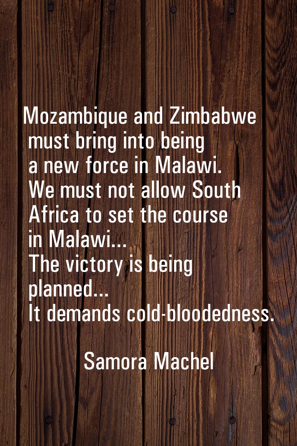 Mozambique and Zimbabwe must bring into being a new force in Malawi. We must not allow South Africa