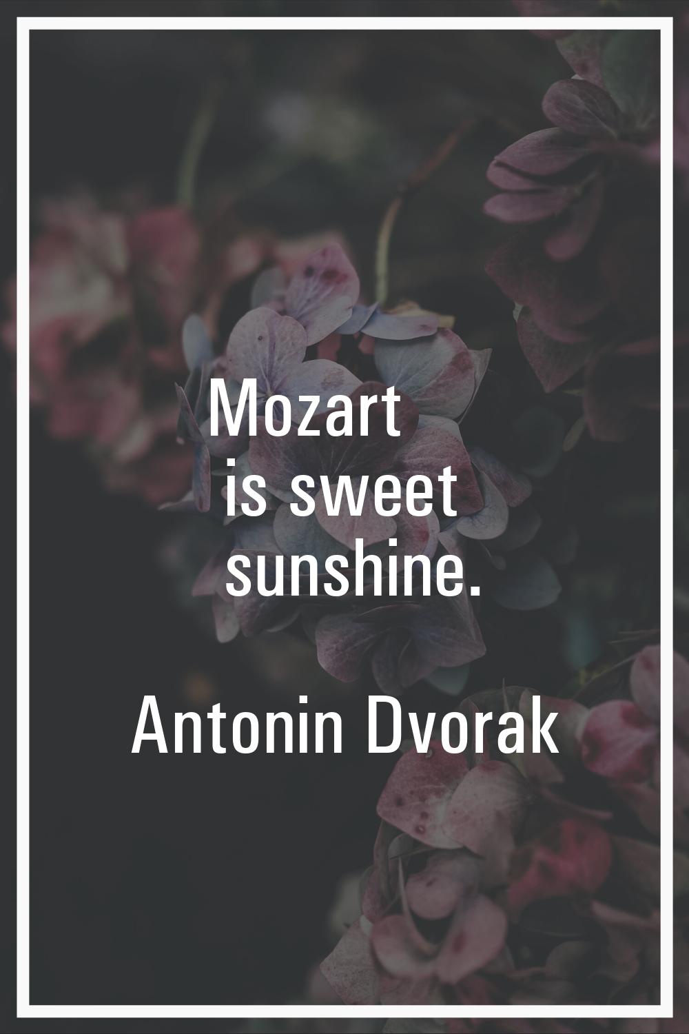Mozart is sweet sunshine.