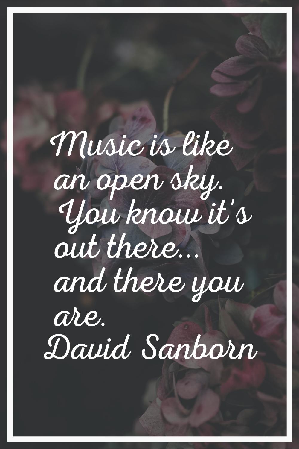 Music is like an open sky. You know it's out there... and there you are.