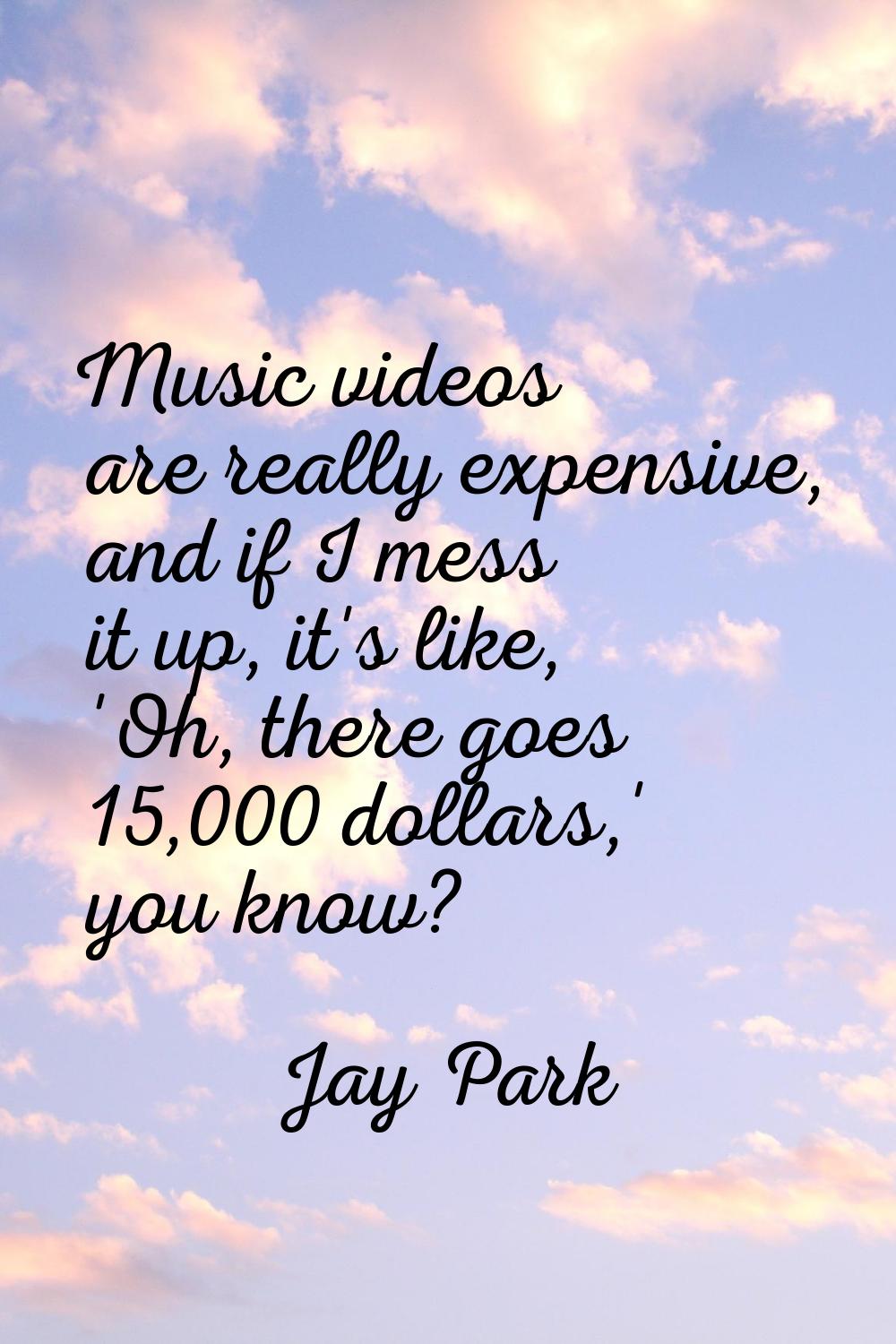 Music videos are really expensive, and if I mess it up, it's like, 'Oh, there goes 15,000 dollars,'