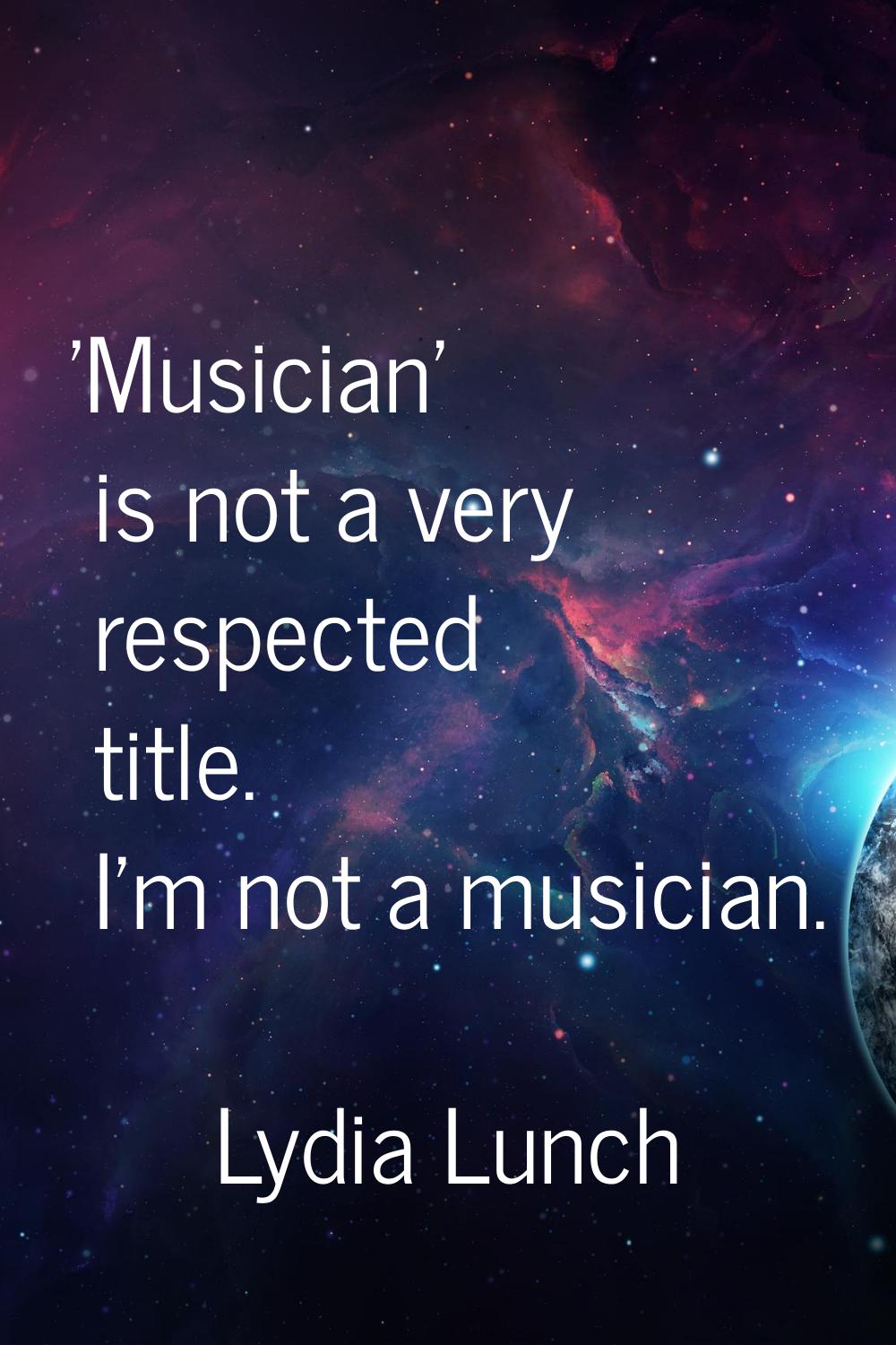 'Musician' is not a very respected title. I'm not a musician.