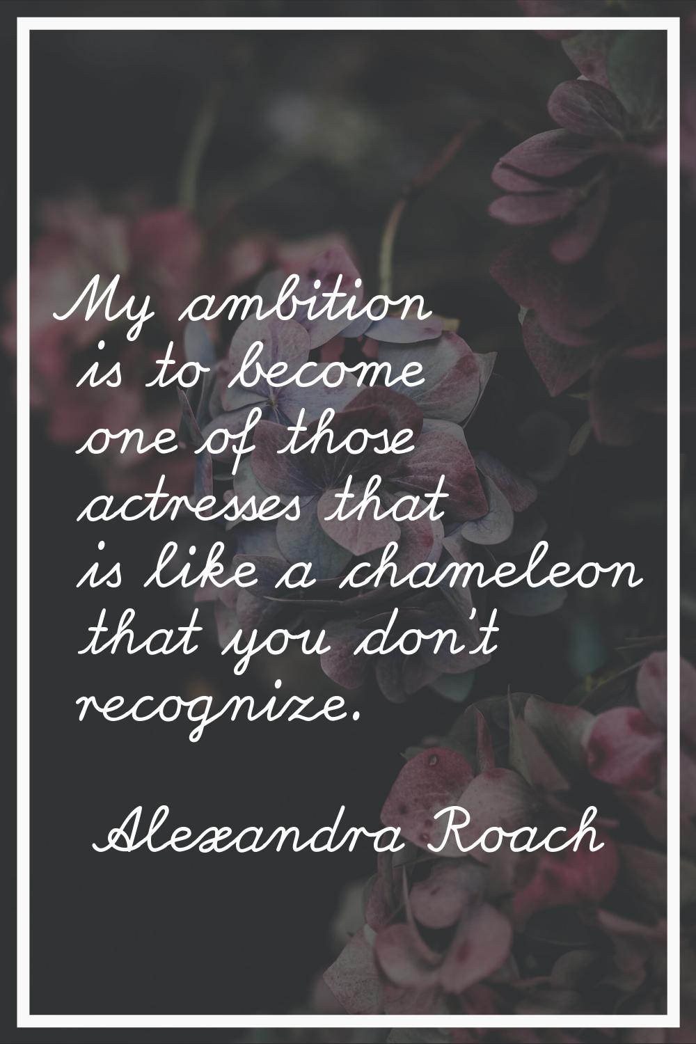 My ambition is to become one of those actresses that is like a chameleon that you don't recognize.