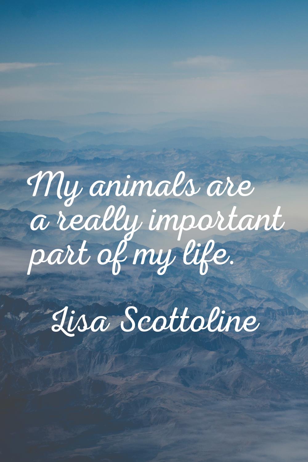 My animals are a really important part of my life.